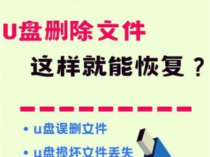 在u盘删除的文件怎么恢复数据,u盘删除的文件怎么找回不在回收站里