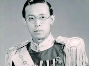爱新觉罗·溥仪没有任何子嗣，清朝皇帝还有没有后代？,没有子嗣的末代皇帝