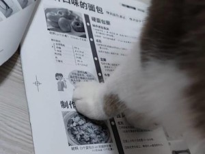 以面包求职的奇妙经历（一名年轻人如何通过面包追求自己的梦想）