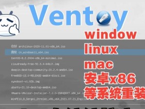 Windows下制作Mac安装U盘教程（详细教你如何在Windows系统下制作可用于Mac安装的U盘）