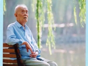 飞芒书房（探索无尽的知识海洋，享受独特的阅读乐趣）