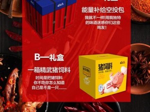 极客快送（技术驱动、高效便捷，为用户带来全新外卖体验）
