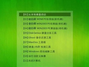 轻松学会使用大白菜PE盘安装系统（详解大白菜PE盘的使用方法，让你轻松装系统）