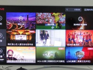 乐视影视（乐视影视平台的创新策略与用户满意度调研）