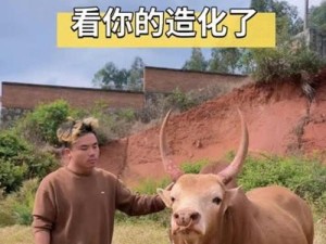 长虹S09手机综合评测（性能出色，颜值超越预期）