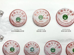 大白菜巅峰版使用教程（让你轻松掌握大白菜巅峰版，开启无限美味的大门）