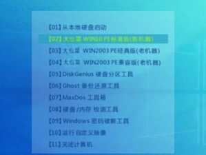 新电脑怎样装系统的教程（快速上手新电脑，安装操作系统一步不误）