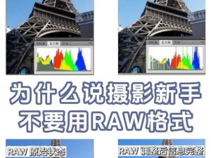 苹果电脑快速查看raw格式,硬盘分区变成了raw格式怎么转换回来