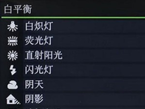 白平衡调节的艺术（掌握白平衡的技巧，提升照片质量）