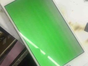 苹果6电脑恢复错误解决指南（解决苹果6电脑恢复错误的有效方法）