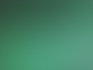 桌面背景图片的全屏显示之美（探索如何设置桌面背景图片全屏显示，让你的主题更吸引人）