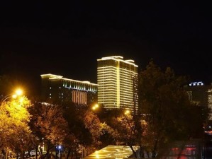 探索黑卡夜景的魅力（纵览城市的璀璨之夜，黑卡夜景带给你无尽的惊喜）