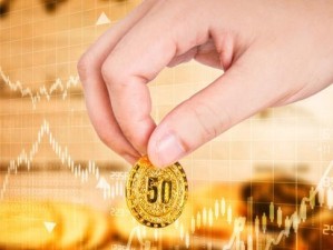 中金鼎晟（投资领域多元化推动企业稳步发展）