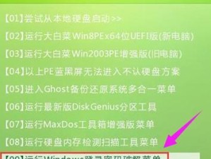 大白菜U盘装Win10系统教程（利用大白菜U盘轻松安装最新Win10系统）