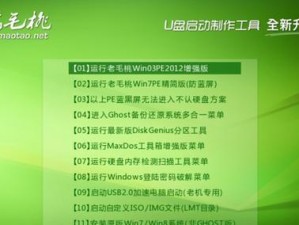 使用U盘安装苹果系统的简易教程（快速了解U盘装苹果系统的方法与步骤）