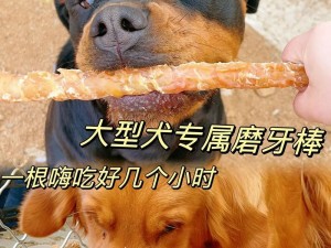 合法防止大型犬扑咬有什么随身好物可以选？,大型犬扑咬