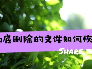 如何恢复误删除文件？（有效的方法帮助您找回误删除的重要文件）