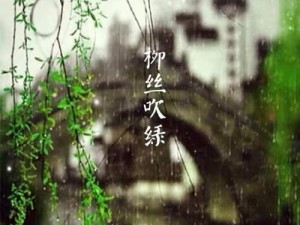 16年雨水如何？（从降雨量到气候变化，解读16年的雨水情况）