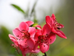 探索佳能5D2超长暴光（发现长时间曝光背后的魅力与技巧）