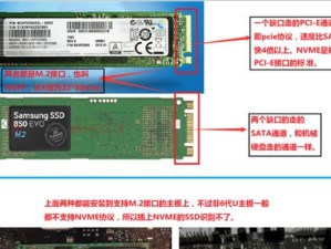 外接固态硬盘安装教程（简单易懂的固态硬盘安装指南）