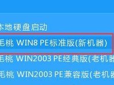 老毛桃U盘启动器教程（使用老毛桃U盘启动器制作便携系统，让您的工作无处不在）