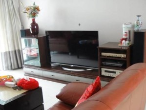长虹55Q1R（亮度出众、色彩鲜艳、画质逼真，长虹55Q1R带你体验全新视觉享受）