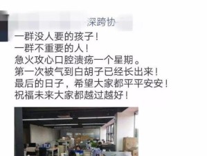 年富供应链的优势与发展（深入探析年富供应链的服务模式与全球化布局）