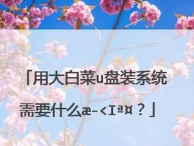 大白菜ISO模式安装系统教程（一步步教你使用大白菜ISO模式安装系统）