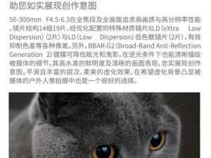 腾龙15-30镜头的性能和特点剖析（一款专业级广角变焦镜头，畅享画面视野）
