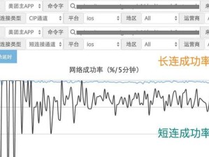 揭秘国内速度最快的DNS，网速如飞（挑战网络极限，畅享高速冲浪）