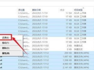 从误删除中恢复文件的方法（有效的文件恢复技巧）