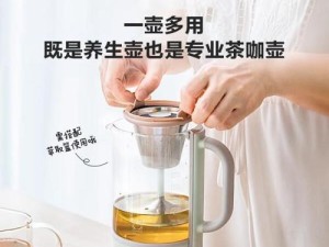 揭秘北鼎养生壶（探索北鼎养生壶的独特魅力，享受健康饮食的乐趣）