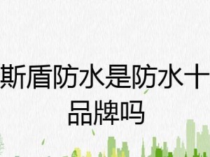 金斯顿防水的高效性能和卓越品质（打造可靠防水解决方案的领导品牌）