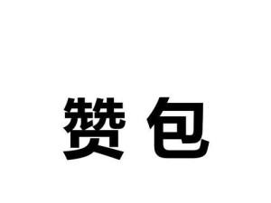 鹏城互联（全面发展数字经济，为未来打下坚实基础）