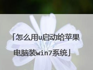 如何通过在线教程轻松安装Windows7（在线装Win7教程，让您的电脑系统更新更迅捷）