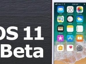 SE升级iOS10.3的步骤和注意事项（以SE升级iOS10.3的完整教程和常见问题解答）