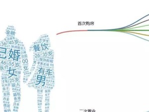 如何分析客户群并实现精准营销（通过客户细分和数据分析，实现精确的市场营销）