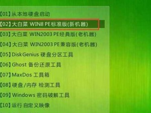 以大白菜装Linux系统教程（轻松入门Linux系统安装，利用大白菜搭建你的操作系统）