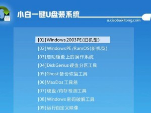 U盘PE系统使用教程（轻松掌握U盘PE系统的安装与使用技巧，助力高效工作）