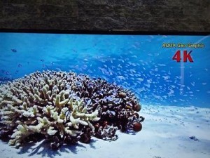 凡客诚品4K电视（领先技术与卓越性能，助您探索无限可能）